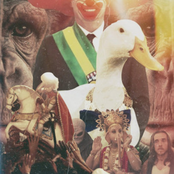 Esse Ano Não Tá Fácil