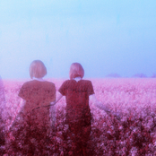 See You In My Dreams