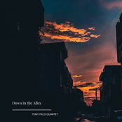 Dawn in the Alley