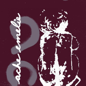 (ache/emelie) s/t CDEP