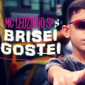 Brisei, Gostei - Single
