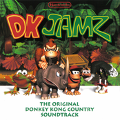 Donkey Kong Country (OST)