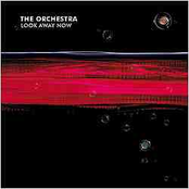 Freaky Phobia by The Orchestra