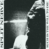 Such Is The Will To Die