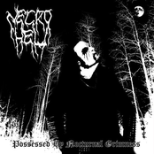 Possessed By Nocturnal Grimness