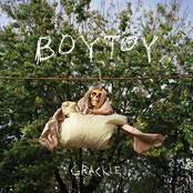 BOYTOY: Grackle