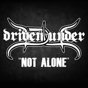 Not Alone
