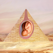 Are You Late Night, Are You Sugar