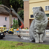 Nobody Wants Realism