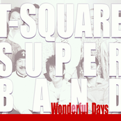 Wonderful Days