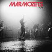 Marmozets: Play