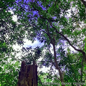 My Love Feels All Wrong (Single Mix)