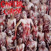 Cannibal Corpse: The Bleeding