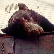 Undressed you layn't before