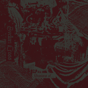 Stations of​.​.​.