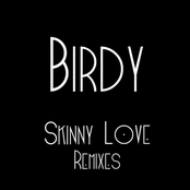 Skinny Love Remixes cover