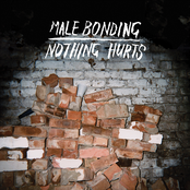 All Things This Way by Male Bonding