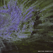Experiments XXI-XXX