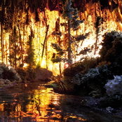 A Box Full Of Magic (DKMNTL070)