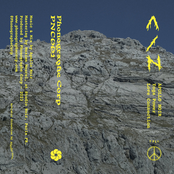 Yoga Power Love Connection