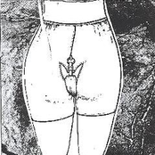 Pedanius Dioscorides