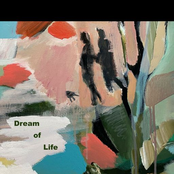 Dream of Life