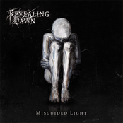 Misguided Light EP