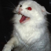 Endless Tomorrow - EP