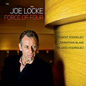 Like Joe by Joe Locke