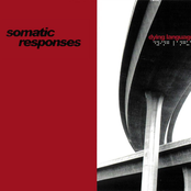 Replicant Dance by Somatic Responses