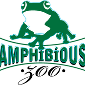 Amphibious Zoo Music