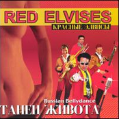 New Years Song by Red Elvises