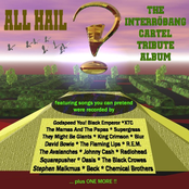 All Hail ?!: IBC Tribute Album