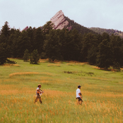 Buffalo Traffic Jam: Comfort in Misery