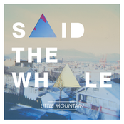 Lover/friend by Said The Whale