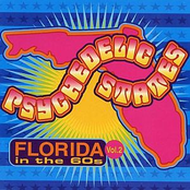 Psychedelic States: Florida In The 60s Vol 2