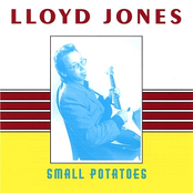 Lloyd Jones: Small Potatoes