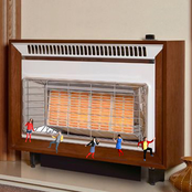 In Front Of The Gas Fire