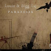 Paranoise