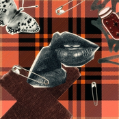 It's not my problem (Wild one)