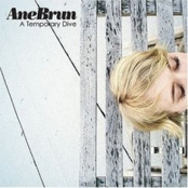Ane Brun: A Temporary Dive (US)