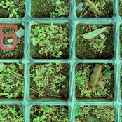 All This Time I Played the Beast