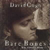 David Gogo: Bare Bones