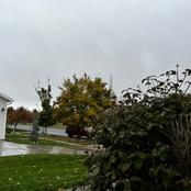 Reyes: feelings you should try it