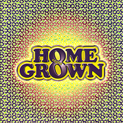 Home Grown Eight