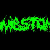 Wombstomp