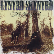 Can't Take That Away by Lynyrd Skynyrd