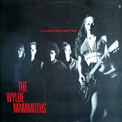 Have You For My Own by The Wylde Mammoths