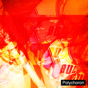 Polychoron