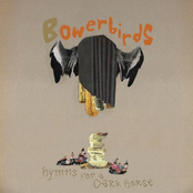 Bowerbirds: Hymns for a Dark Horse (2007, Burly Time)